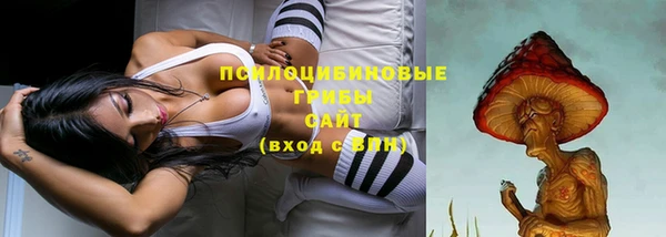 сатива Волоколамск
