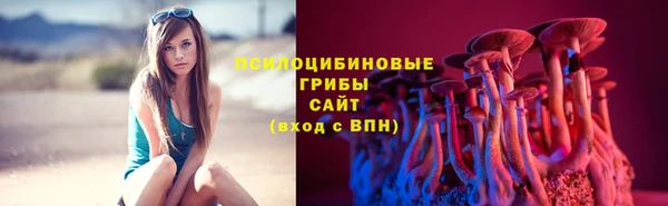 метадон Вяземский