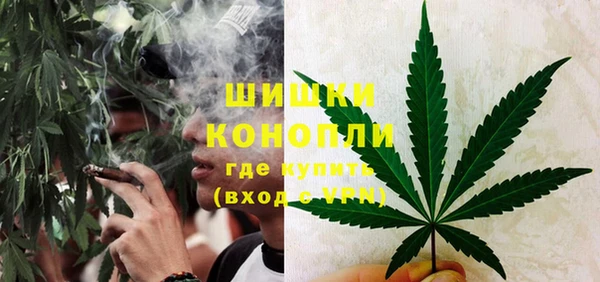 метадон Вяземский