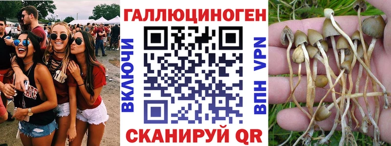 Купить  Кашин  Галлюциногенные грибы ЛСД 